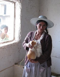 Raising Cuyes in Bolivia