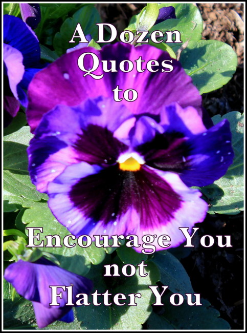 12 Important Quotes to Encourage You Not Flatter You 