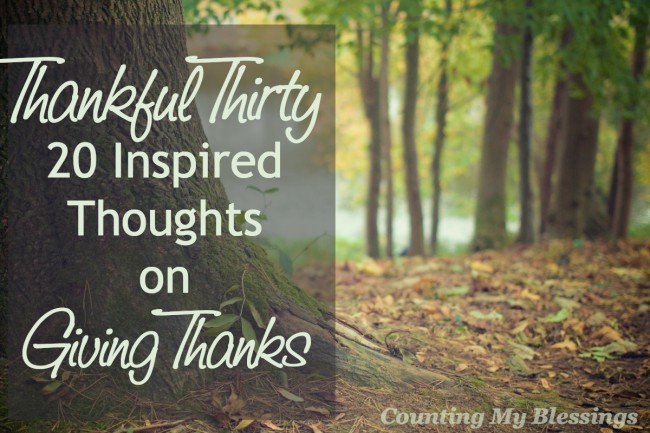 Thankful Thirty – 20 Inspired Thoughts on Giving Thanks – Counting My