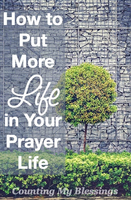 How To Put Life In Your Prayer Life – Counting My Blessings