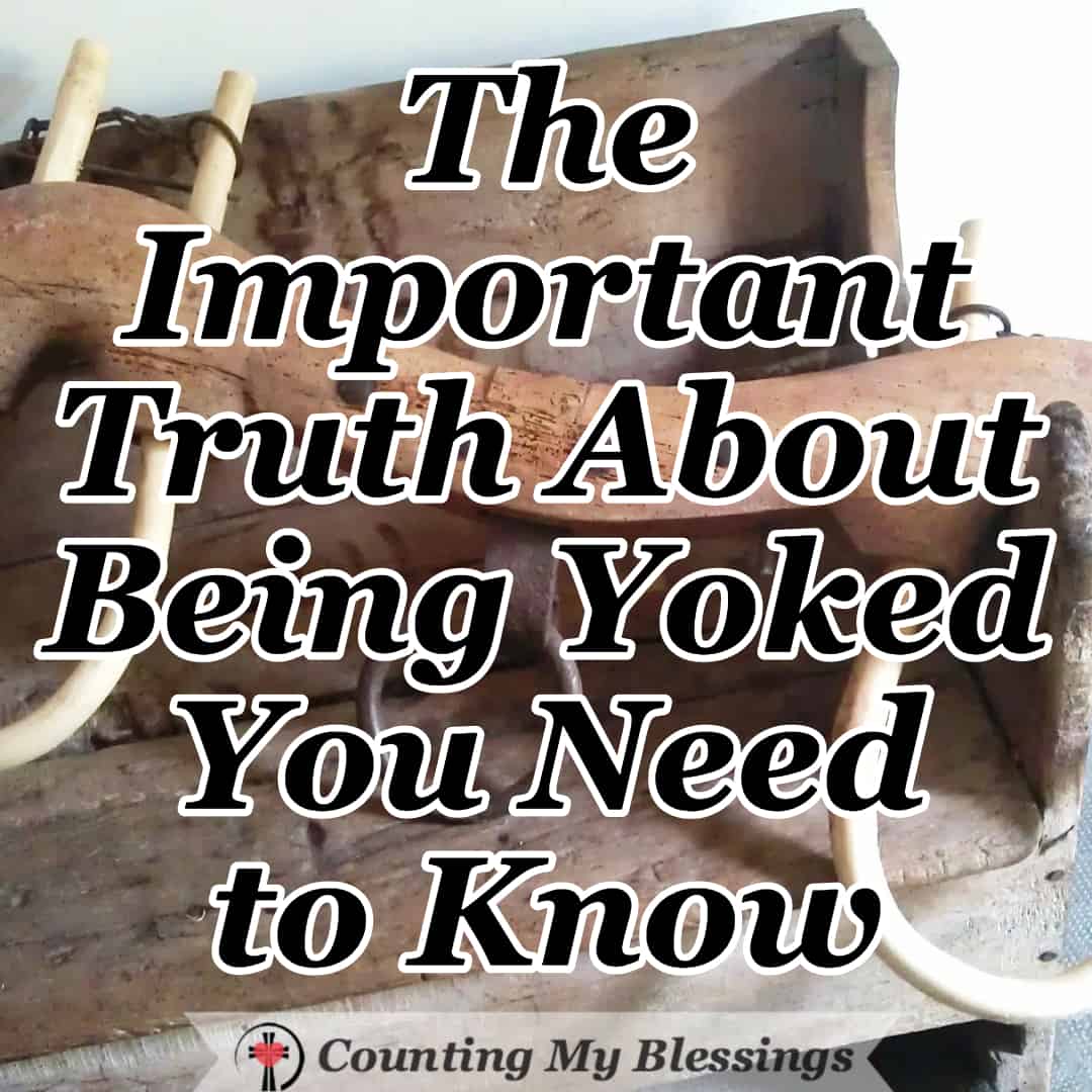 The Important Truth about Being Yoked You Need to Know - CMB
