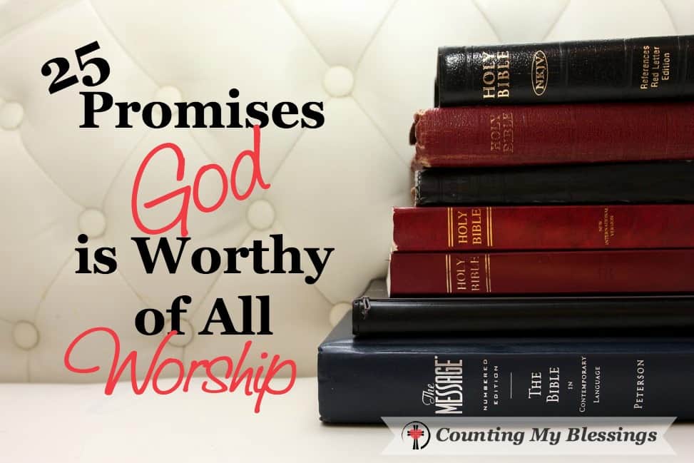 25 Promises - God is Worthy of All Worship - https://countingmyblessings.com/god-is-worthy/ 25 Promises - God is Worthy of All Worship