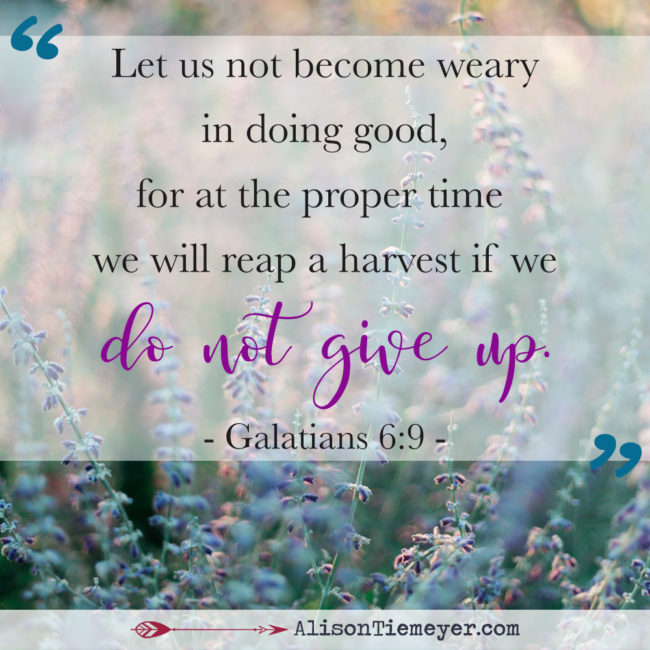 A photo by ornella binni. unsplash.com/photos/C4X2hE91dow