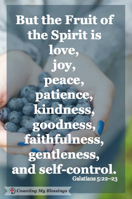 What could happen if you made a decision to care for your relationships with the Fruit of the Spirit - with love, joy, peace, patience, kindness, etc? What could happen if you made a decision to care for your relationships with the Fruit of the Spirit - with love, joy, peace, patience, kindness, etc?
