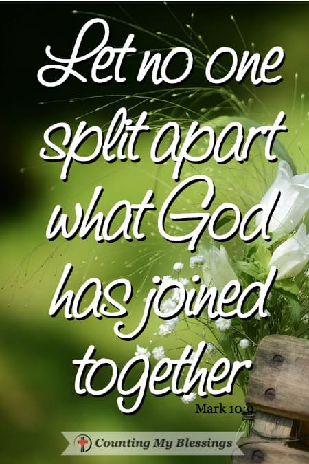 After 45 years of marriage - these marriage verses and prayers have blessed us. I pray that will bless your marriage adventure, too. After 45 years of marriage - these marriage verses and prayers have blessed us. I pray that will bless your marriage adventure, too.