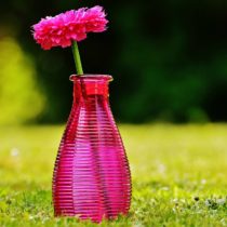 The Best Way to Put an End to Mommy Guilt Now