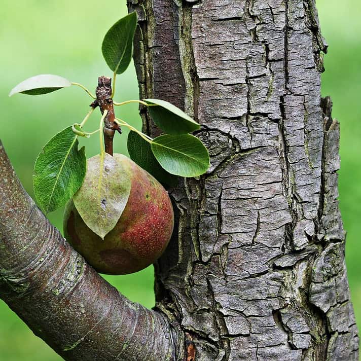 8 Important Questions You Need to Ask about Sin