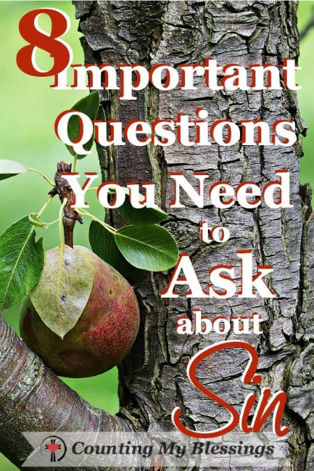 8 Important Questions You Need to Ask about Sin - Counting My Blessings 8 Important Questions You Need to Ask about Sin - Counting My Blessings