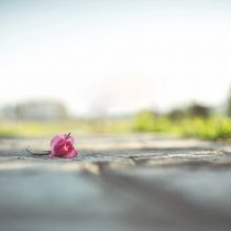 10 Ways to Trust God’s Will When Life is Hard