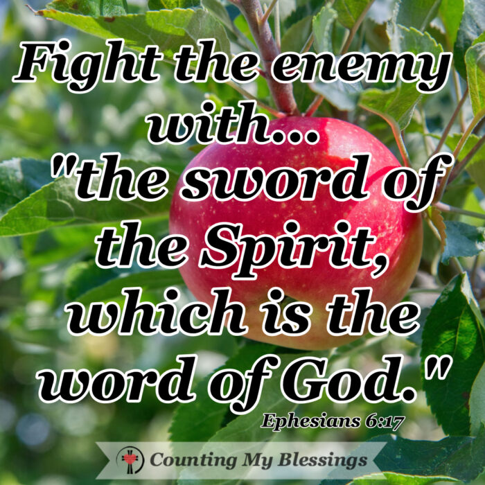 This image has an empty alt attribute; its file name is Ephesians-6-1-700x700.jpg