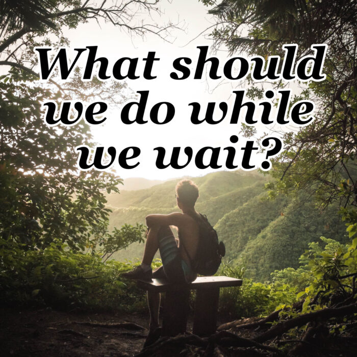 People had been waiting to hear from God when John the Baptist came on the scene and told them what they should do while they waited for Jesus. #JohntheBaptist #TrustGod #Worship #Faith #CountingMyBlessings