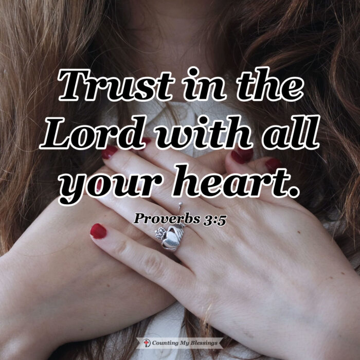 This image has an empty alt attribute; its file name is Prov.-3-700x700.jpg