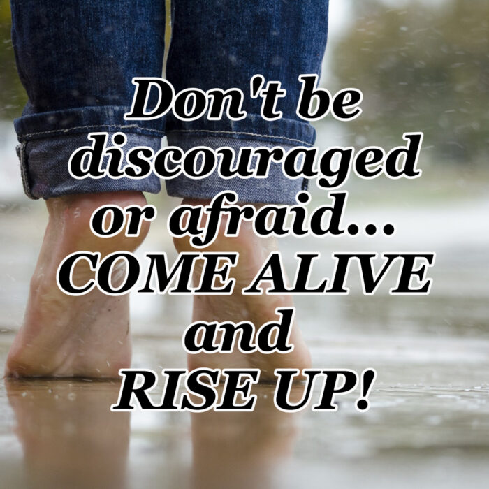 This image has an empty alt attribute; its file name is Rise-Up-Quote-700x700.jpg