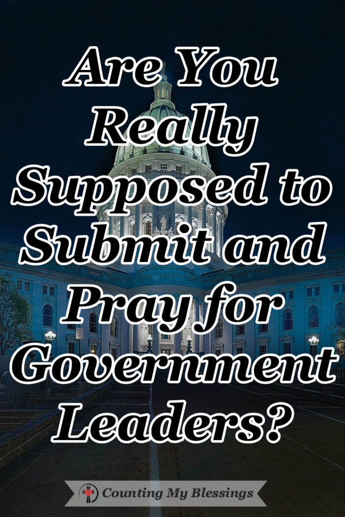 What does the Bible mean when it tells us to submit to government leaders or people in authority? Are we really supposed to simply follow the rules? #Submission #Government #TrustGod #Blessings