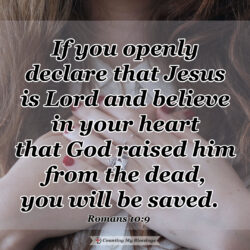 This image has an empty alt attribute; its file name is Romans-10_9-250x250.jpg