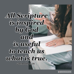 This image has an empty alt attribute; its file name is 2-Timothy-3-250x250.jpg