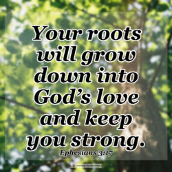 This image has an empty alt attribute; its file name is Eph-3-2-250x250.jpg