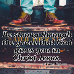 This image has an empty alt attribute; its file name is 2-Tim-2-250x250.jpg