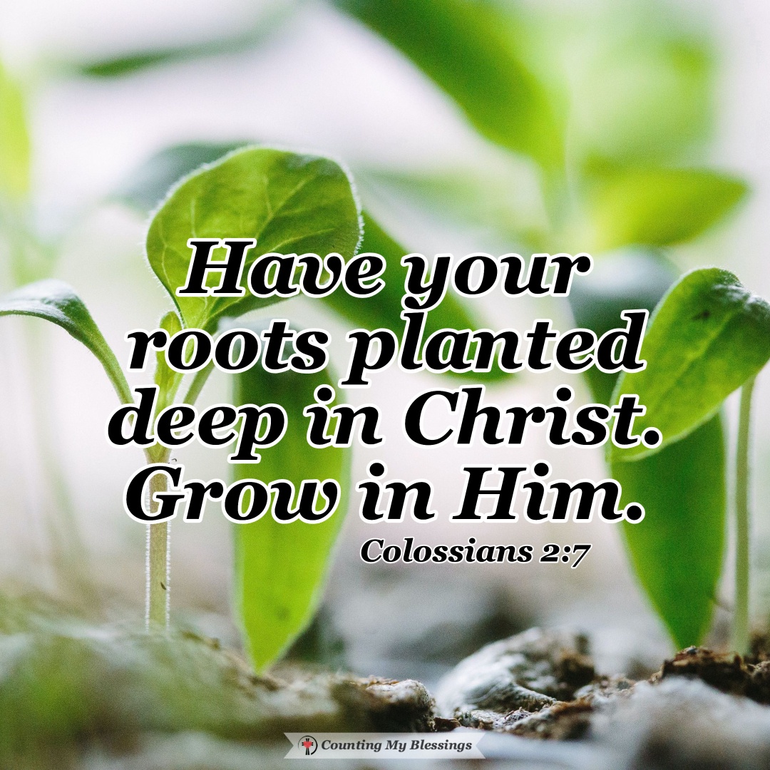 Why It's Important For You To Grow And Live With Faith Today - Counting ...