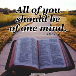 This image has an empty alt attribute; its file name is 1-Peter-3-250x250.jpg