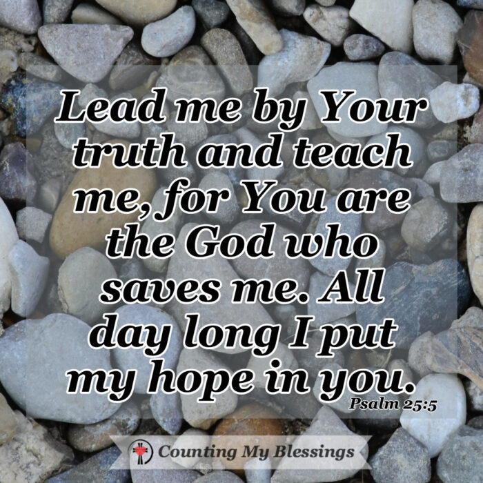 Why does God allow the wicked succeed? When evil seems to be winning we can run to God and ask Him to give us wisdom, peace, and hope.