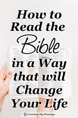 How to Read the Bible in a Way that will Change Your Life