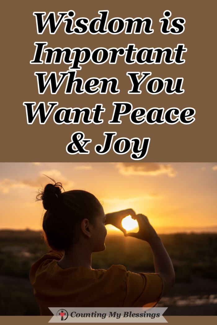 Most of us would agree that we want to live with peace and joy but I wonder how many are willing to pursue wisdom to get it? Wisdom is important because making good decisions makes life better.