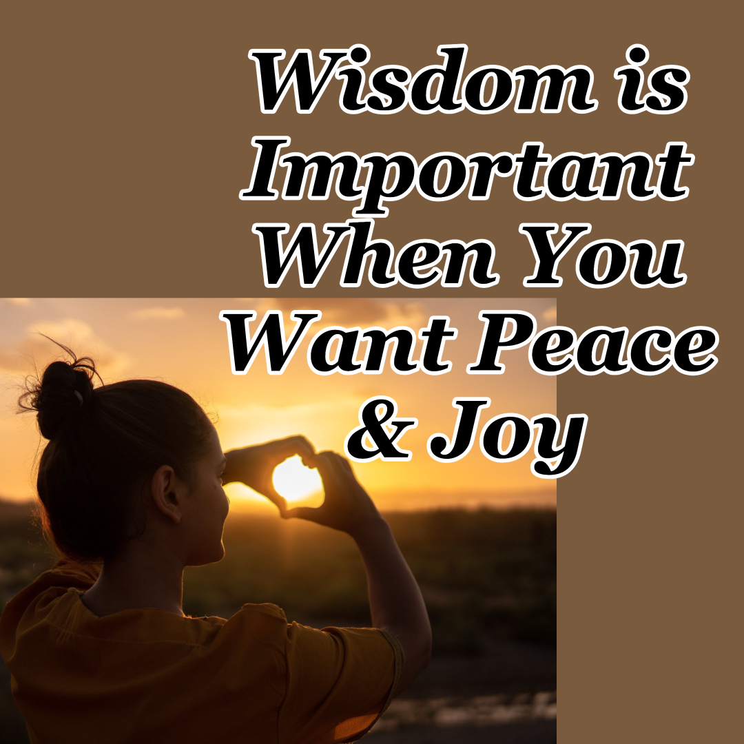 Wisdom is Important When You Want Peace & Joy