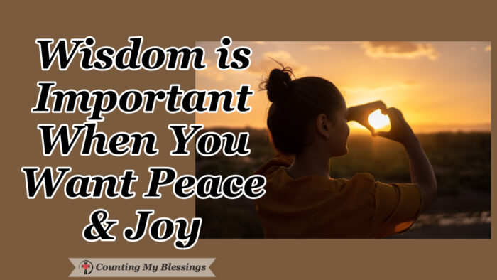 Most of us would agree that we want to live with peace and joy but I wonder how many are willing to pursue wisdom to get it? Wisdom is important because making good decisions makes life better.