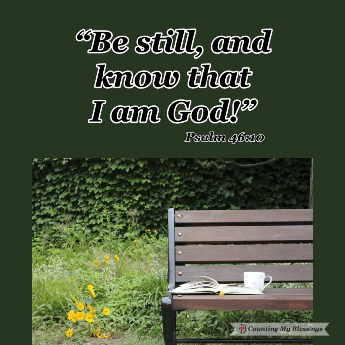 What does it mean to you to "be still" or "cease striving"? Those words reminded us that it's important to let God be God. It's okay to admit that we can't do it all and need help. God is strong. #faith #trustGod #Prayer #Blessings #WWGGG