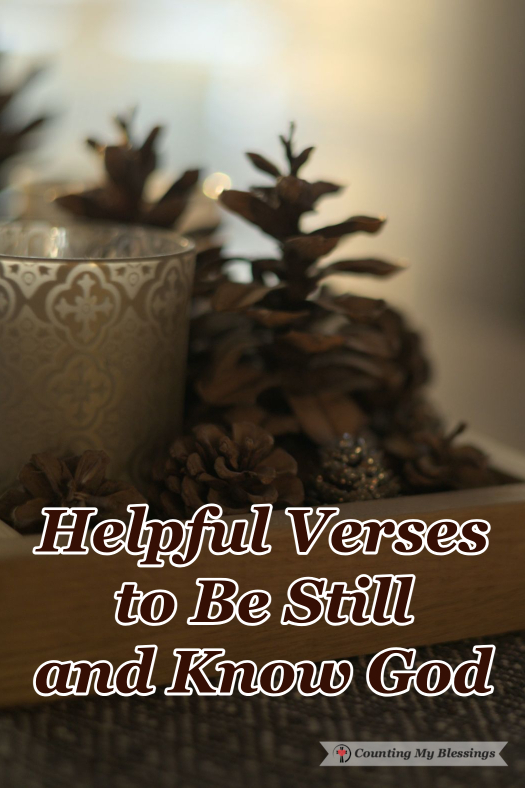 When is the last time you paused to "be still?" At this time of the year, being "still" can feel impossible. But what if this is the very season when we need it most? Good news! Here's a word to help.