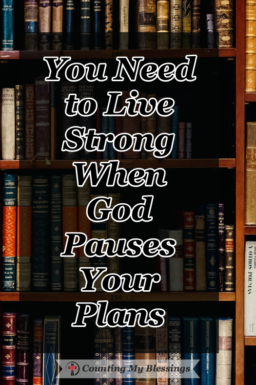 You've made a plan, and you're accomplishing your goals day after day. Everything is on schedule, but then, out of nowhere, God pauses your plans. What do you do? I'd like to tell you our story...