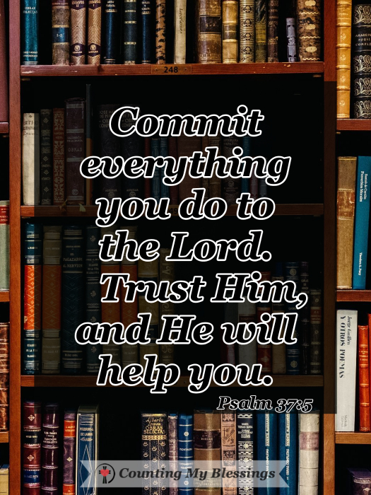 You've made a plan, and you're accomplishing your goals day after day. Everything is on schedule, but then, out of nowhere, God pauses your plans. What do you do? I'd like to tell you our story...
