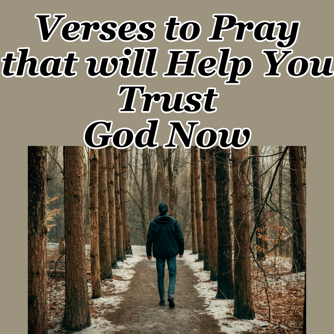 Verses to Pray that will Help You Trust God Now