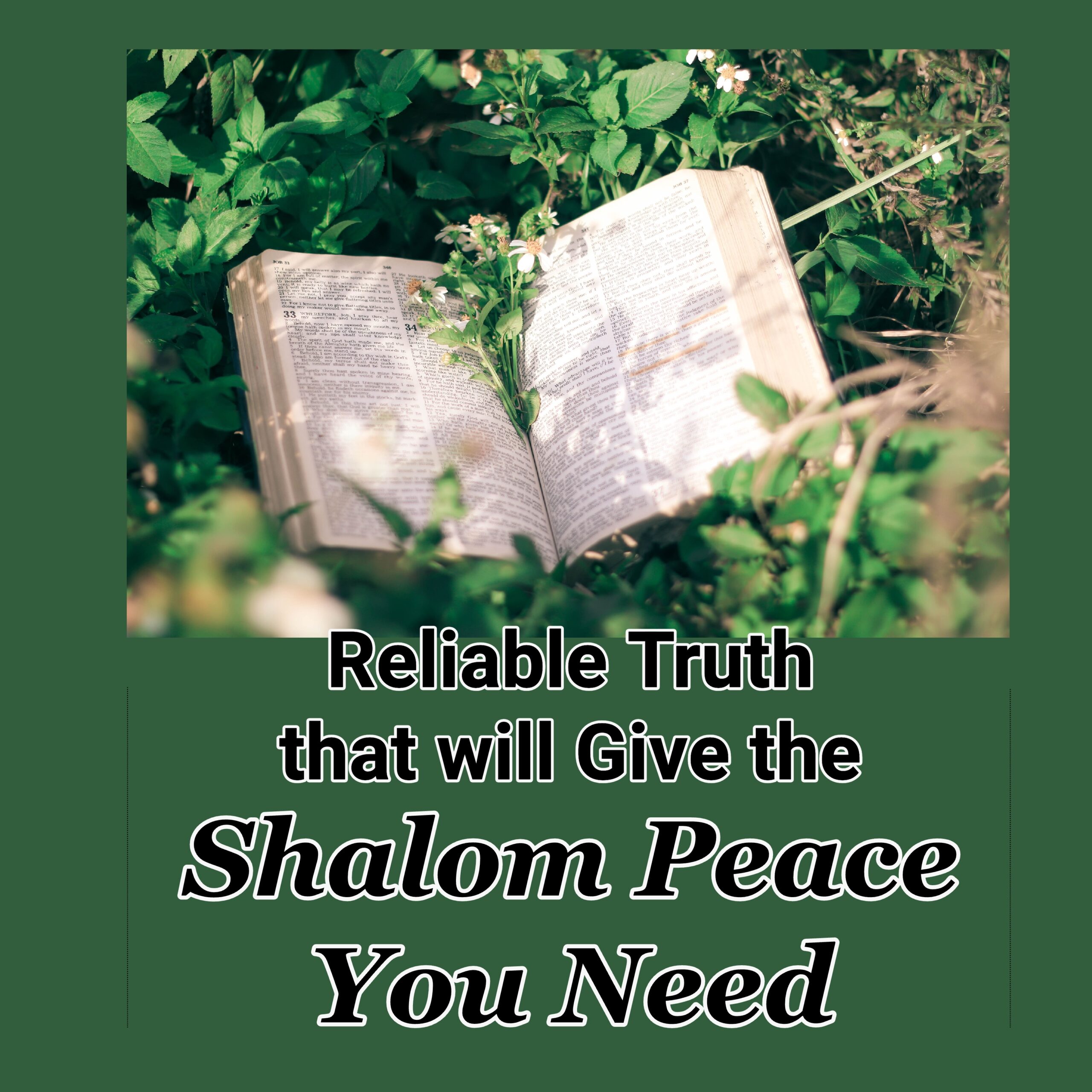 Reliable Truth that will Give the Shalom Peace You Need